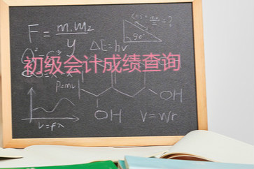 2018年初級(jí)會(huì)計(jì)職稱考試成績(jī)查詢流程是什么？