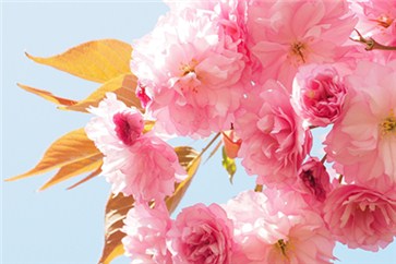  2018年注冊(cè)會(huì)計(jì)師考試準(zhǔn)考證打印注意事項(xiàng)