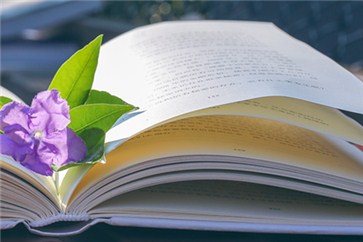 河南省注冊會計師考試時間？各類題型有什么答題技巧？