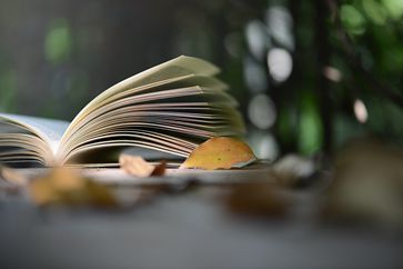 稅務(wù)師考試什么時候進行