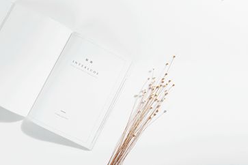 《稅務檢查證管理辦法》發布，明年1月1日起實施