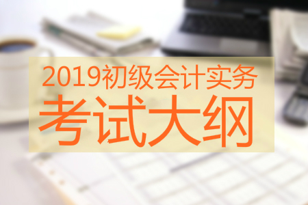 2019年初級會計實(shí)務(wù)考試大綱