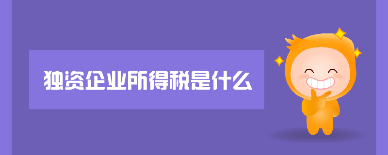 獨(dú)資企業(yè)所得稅