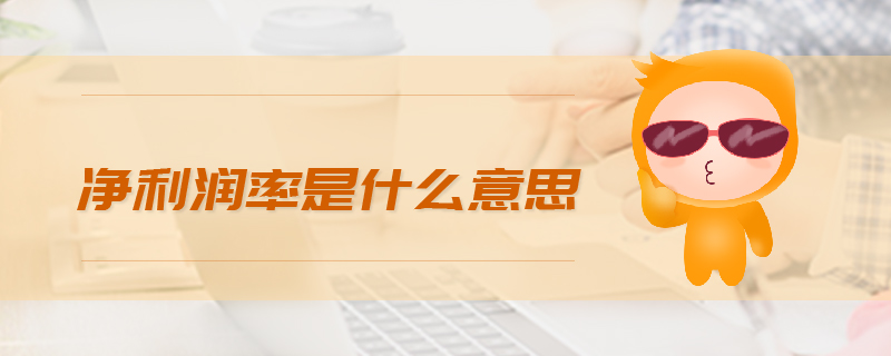 凈利潤率是什么意思