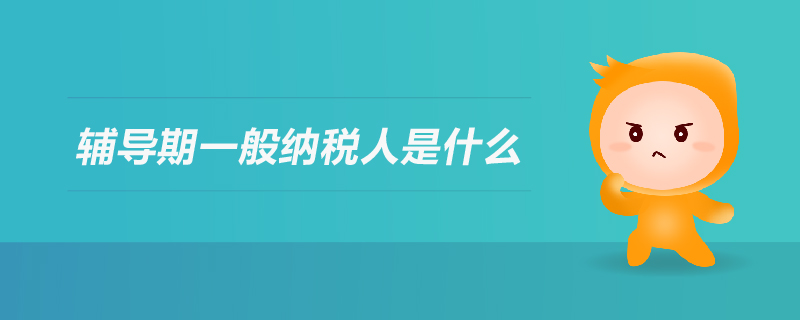 輔導期一般納稅人是什么