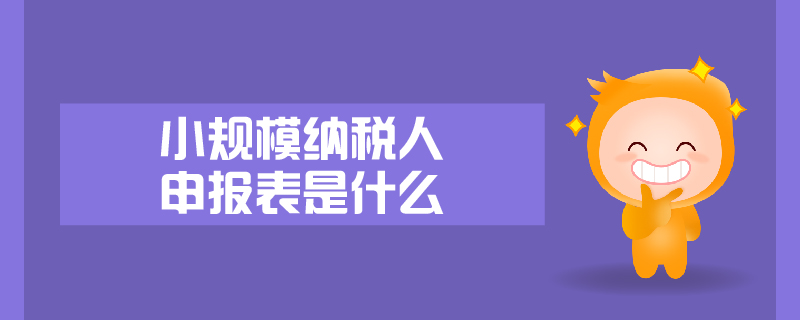 小規模納稅人申報表是什么