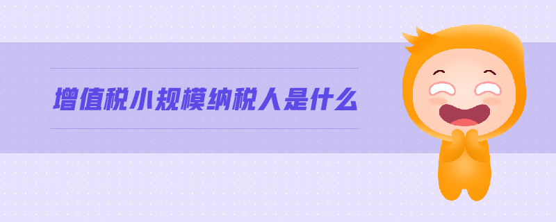 增值稅小規模納稅人是什么