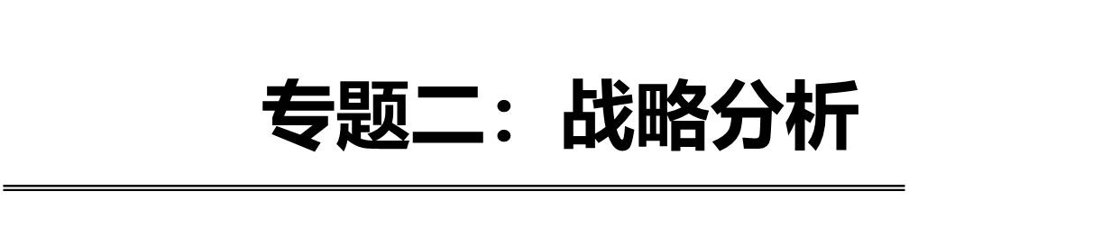 專題二：戰略分析