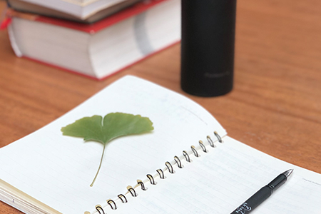廣東2019注冊會計師報名資格審核需要什么條件？