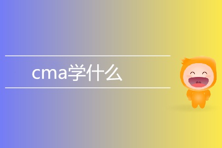 cma學什么？具體考試內容都有哪些？