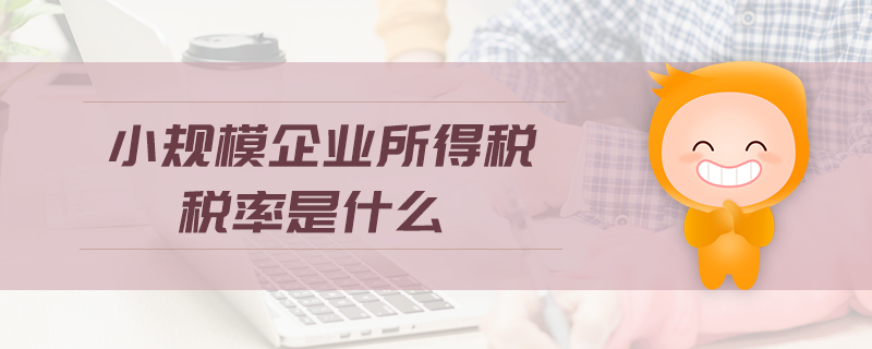 小規(guī)模企業(yè)所得稅稅率是什么