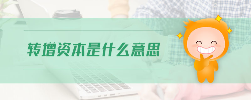 轉增資本是什么意思