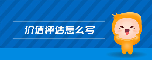 價值評估怎么寫