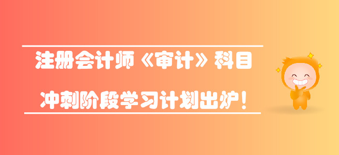 2019年注冊會計師《審計》科目沖刺階段學習計劃