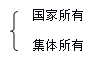 我國土地所有權(quán)