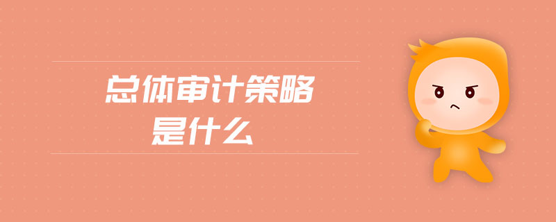 總體審計策略是什么