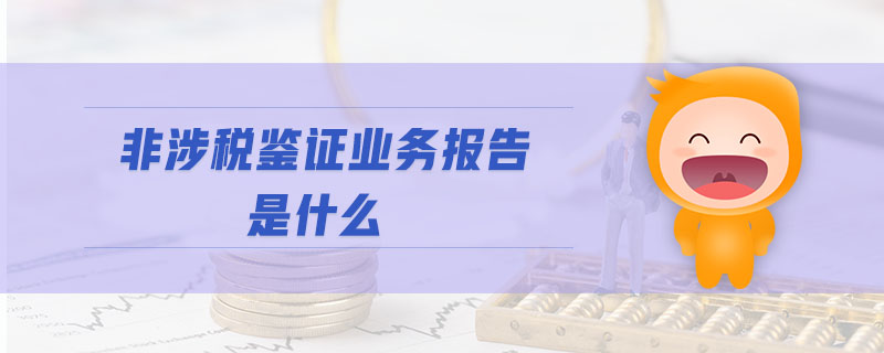 非涉稅鑒證業(yè)務(wù)報告是什么