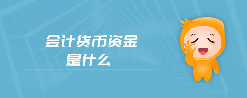 會計貨幣資金是什么