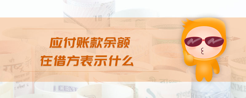 應付賬款余額在借方表示什么