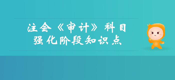 2019年注會《審計》強化階段知識點匯總