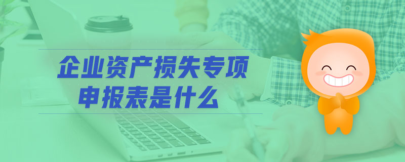 企業資產損失專項申報表是什么