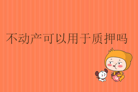 不動產可以用于質押嗎？