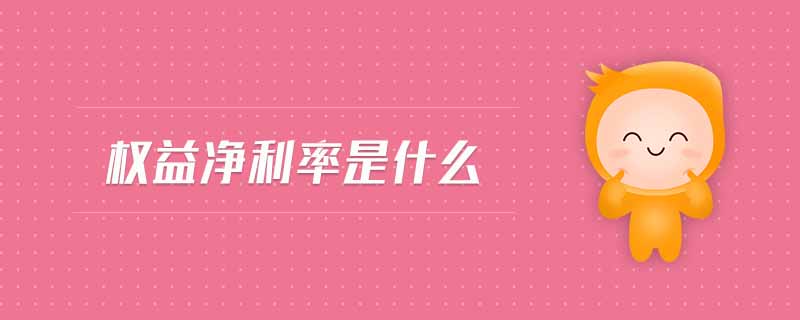 權益凈利率是什么
