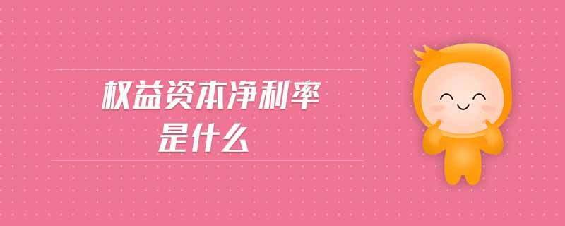 權益資本凈利率是什么