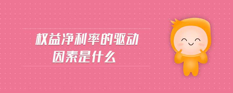 權益凈利率的驅動因素是什么