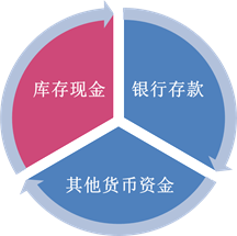 其他貨幣資金