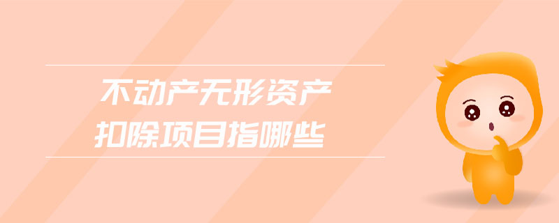 不動產(chǎn)無形資產(chǎn)扣除項目指哪些