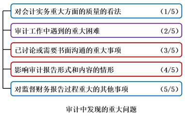 審計(jì)中發(fā)現(xiàn)的重大問(wèn)題