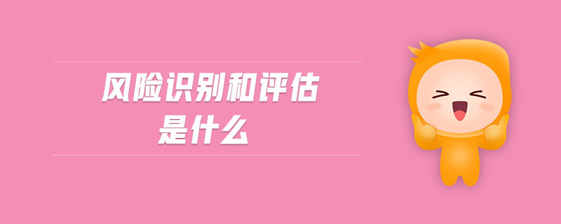 風(fēng)險(xiǎn)識別和評估是什么
