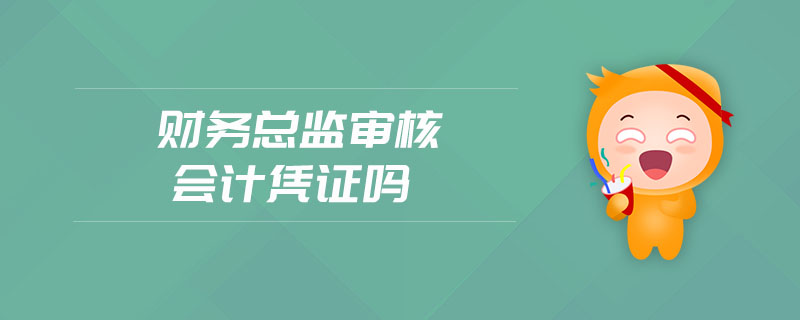 財務總監審核會計憑證嗎