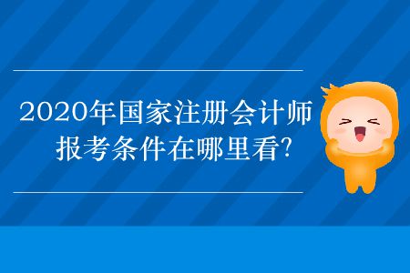 2020年國家注冊會計師報考條件在哪里看？