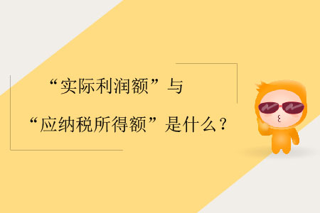 “實際利潤額”與“應納稅所得額”是什么？