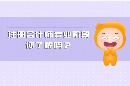 注冊會計師專業階段你都了解多少？