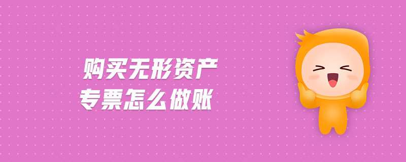 購買無形資產專票怎么做賬