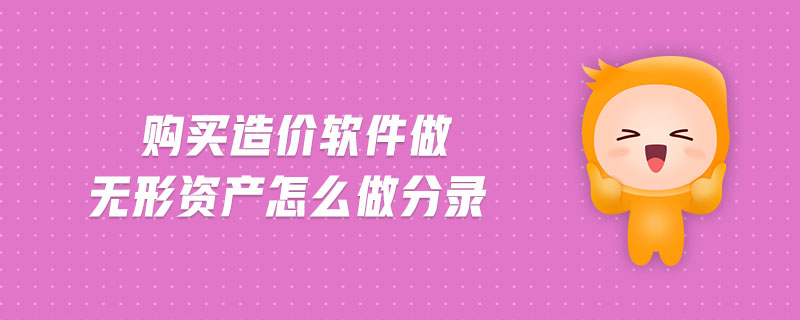 購買造價軟件做無形資產怎么做分錄
