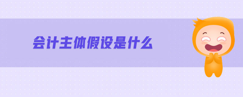 會計主體假設是什么