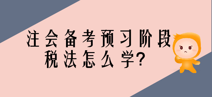 2020年注會備考預習階段，稅法怎么學？