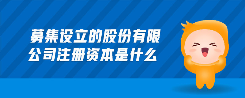 募集設立的股份有限公司注冊資本是什么