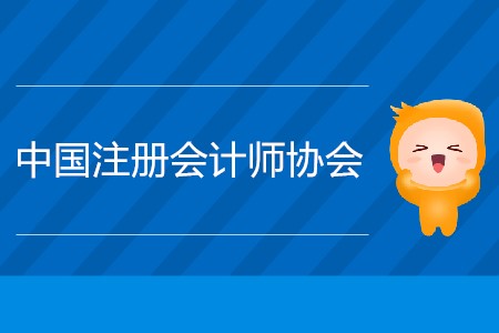 2020年中國注冊會計師協會報名網站在哪？