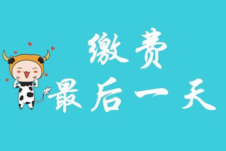 初級會計最晚什么時候交費?