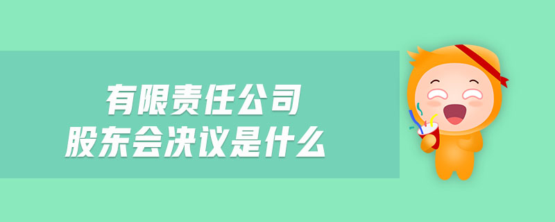 有限責任公司股東會決議是什么