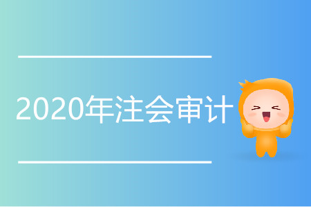 2020年注會審計變化集中在哪個章節？