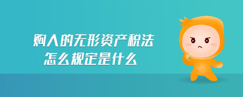 購入的無形資產稅法怎么規定是什么