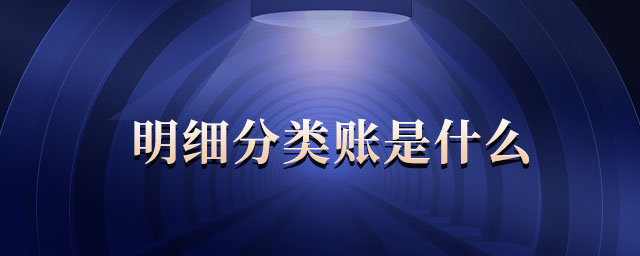 明細分類賬是什么