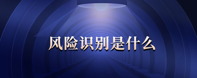 風險識別是什么