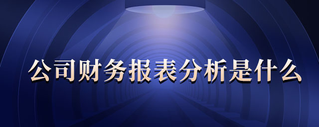 公司財務報表分析是什么